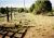 Strong Brother's--Claude, Augustus and Rolla--Colorado Ranch, Fence Line